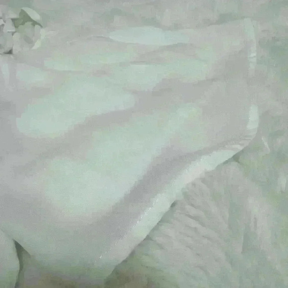 Naked Zebra Woman’s White Sheer Business Casual Off-the-shoulder Flowy Top - Picture 11 of 11